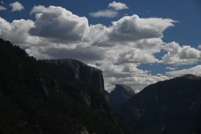 DSC_4305 (Large).JPG